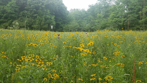 Nature Preserve «Al Sabo Land Preserve», reviews and photos, 6310 Texas Dr, Kalamazoo, MI 49009, USA