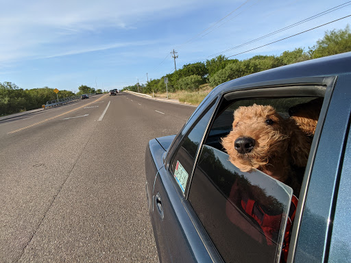 Park «Hugh Ramsey Nature Park», reviews and photos, 1000 TX-499 Loop, Harlingen, TX 78550, USA