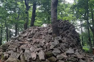 Rezerwat przyrody Kamień nad Jaśliskami image