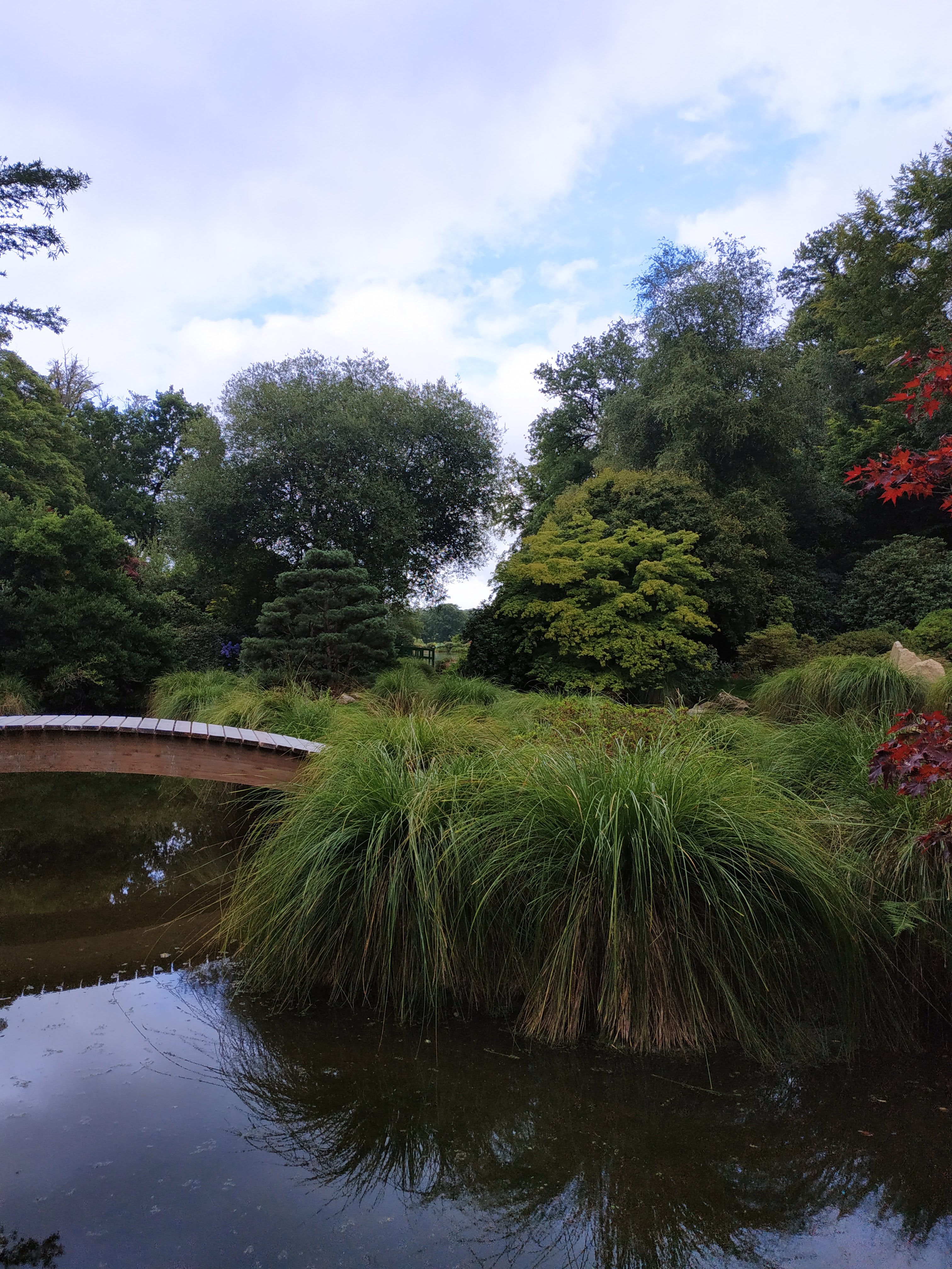 Photo n° 9 de l'avis de e.i fait le 05/08/2019 à 16:01