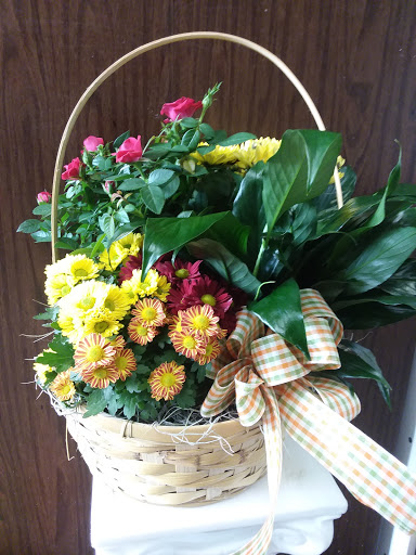 Florist «A Daisy A Day», reviews and photos, 749 Silas Creek Pkwy, Winston-Salem, NC 27127, USA