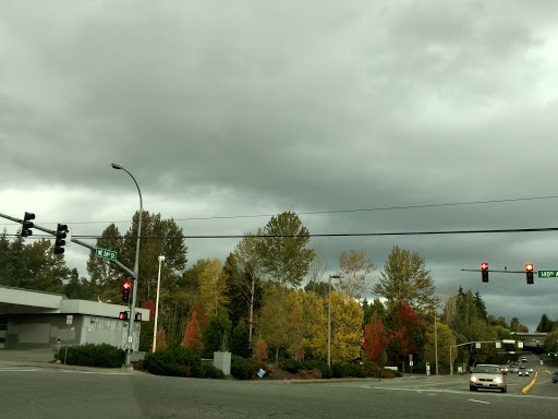 Used Car Dealer «Landmark Motors, Inc.», reviews and photos, 13815 NE 24th St, Bellevue, WA 98005, USA