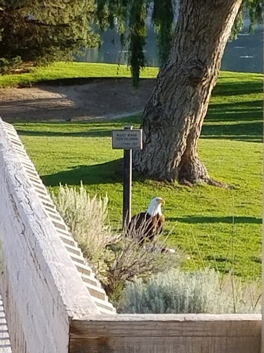 Golf Course «Lakeridge Golf Course», reviews and photos, 1218 Golf Club Dr, Reno, NV 89519, USA