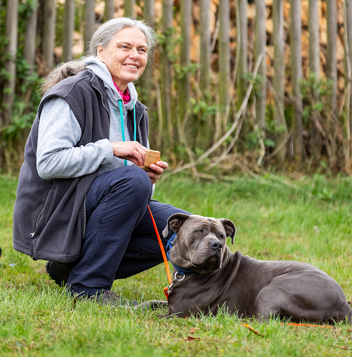 Veterinarian Anette Geppert unter Olsberg, 