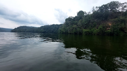Laguna Azul Sauce