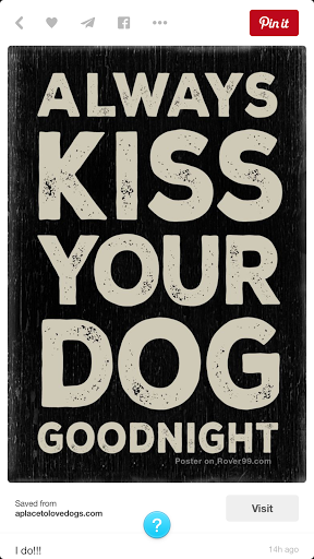 Pet Supply Store «Pet X Supplies & Tack», reviews and photos, 132 W Highland Rd Suite 101, Howell, MI 48843, USA