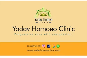 Yadav Homeo Clinic - Best Homeopathy Doctor, Best Homeopathy Clinic in Jaipur image