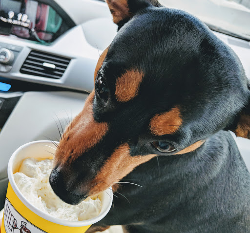 Coffee Shop «Jitter Bean Coffee Co», reviews and photos, 1225 Broadway St, Eureka, CA 95501, USA