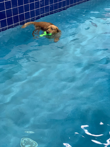 Pet Supply Store «Pet Depot Inc», reviews and photos, 2151 Greenspring Dr, Lutherville-Timonium, MD 21093, USA