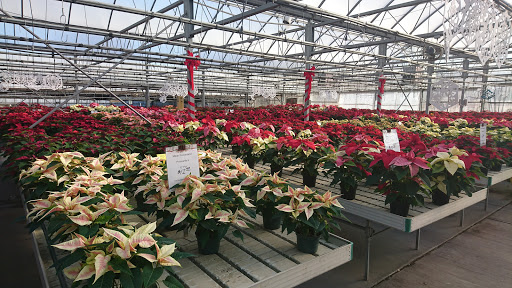 Meier Flowerland & Greenhouse, 8087 Grand River Ave, Brighton, MI 48114, USA, 