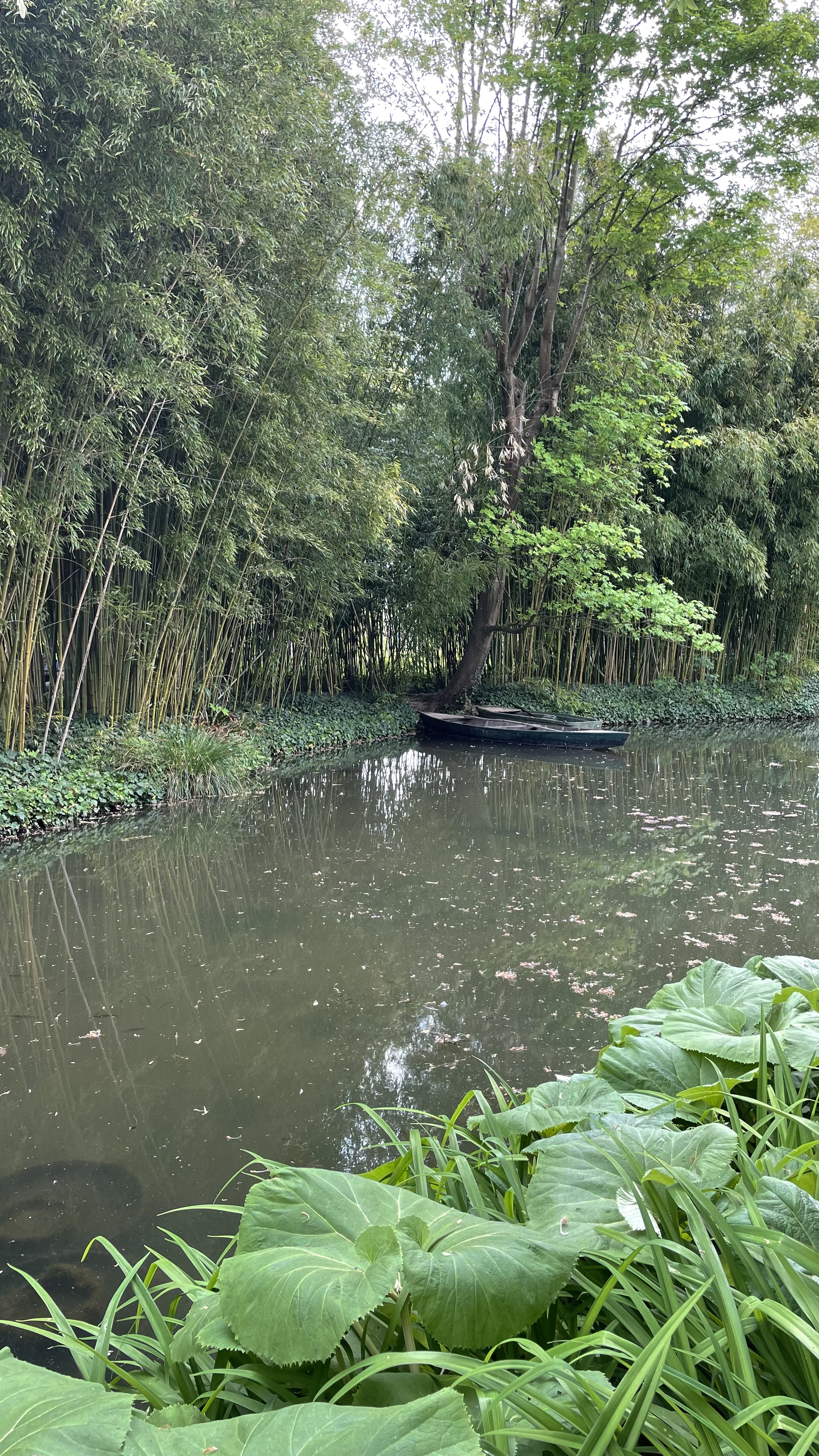 Photo n° 1 de l'avis de Marine.o fait le 21/05/2023 à 14:18