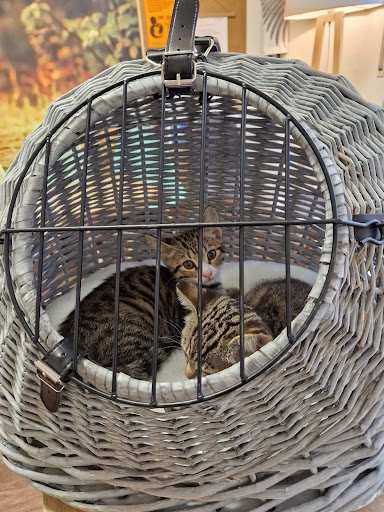 Kleintierpraxis Dr. Theise unter Neuwied, Rheinland-Pfalz