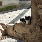 Photo n°2 de l'avis de Luís.s fait le 11/07/2021 à 19:16 sur le  O Pascoal à Fajão