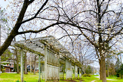 Arboretum Sunnidale Park