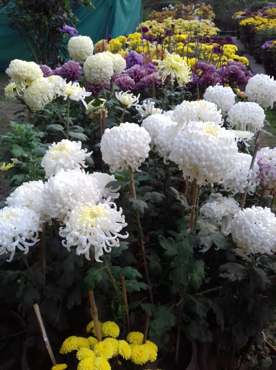 Djb Zonal Revenue Office Gk I In The City New Delhi