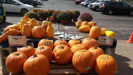 Hardware Store «Westlake Ace Hardware 032», reviews and photos, 2350 S Campbell Ave, Springfield, MO 65807, USA