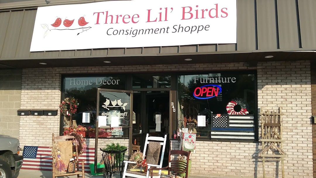 Three Little Birds Thrift Shop