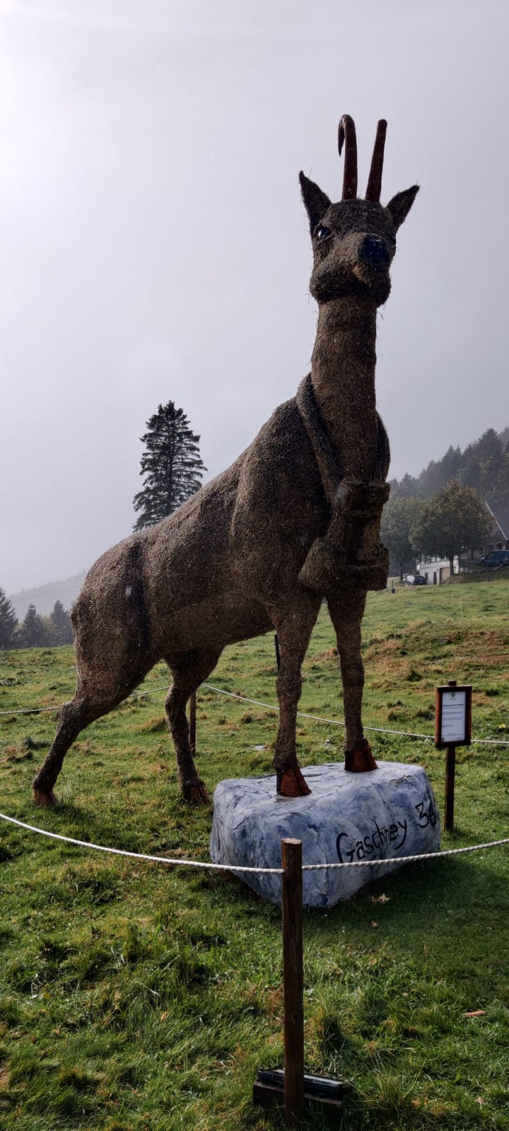 Photo n° 1 de l'avis de Phil.a fait le 15/10/2023 à 07:55