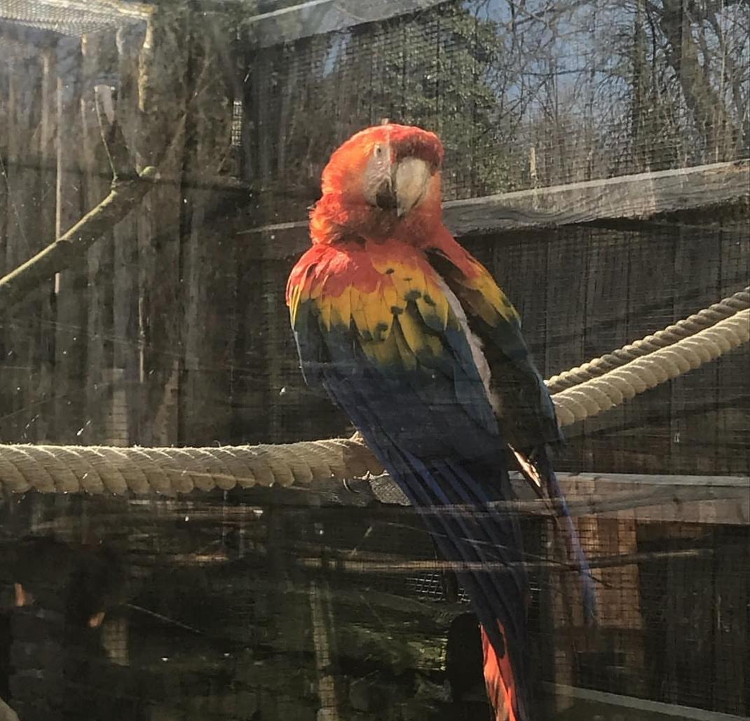 Photo n° 2 de l'avis de Hélène.a fait le 10/02/2019 à 20:47