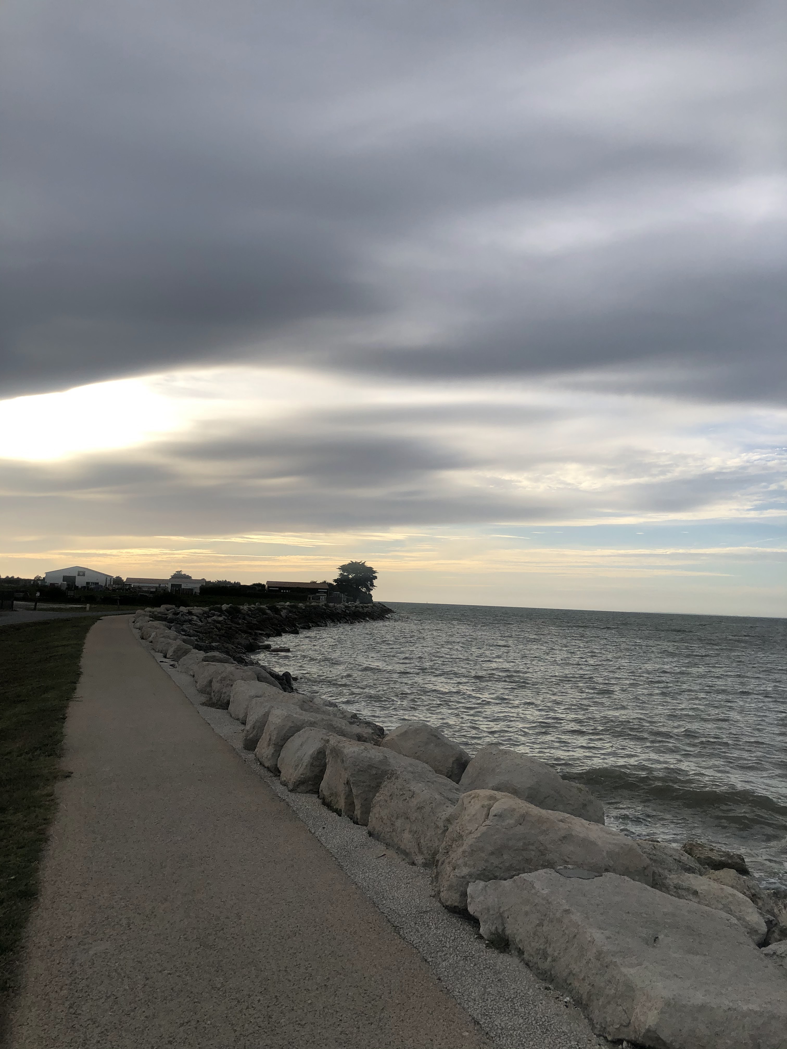 Photo n° 2 de l'avis de Zacharie.e fait le 12/07/2020 à 16:08