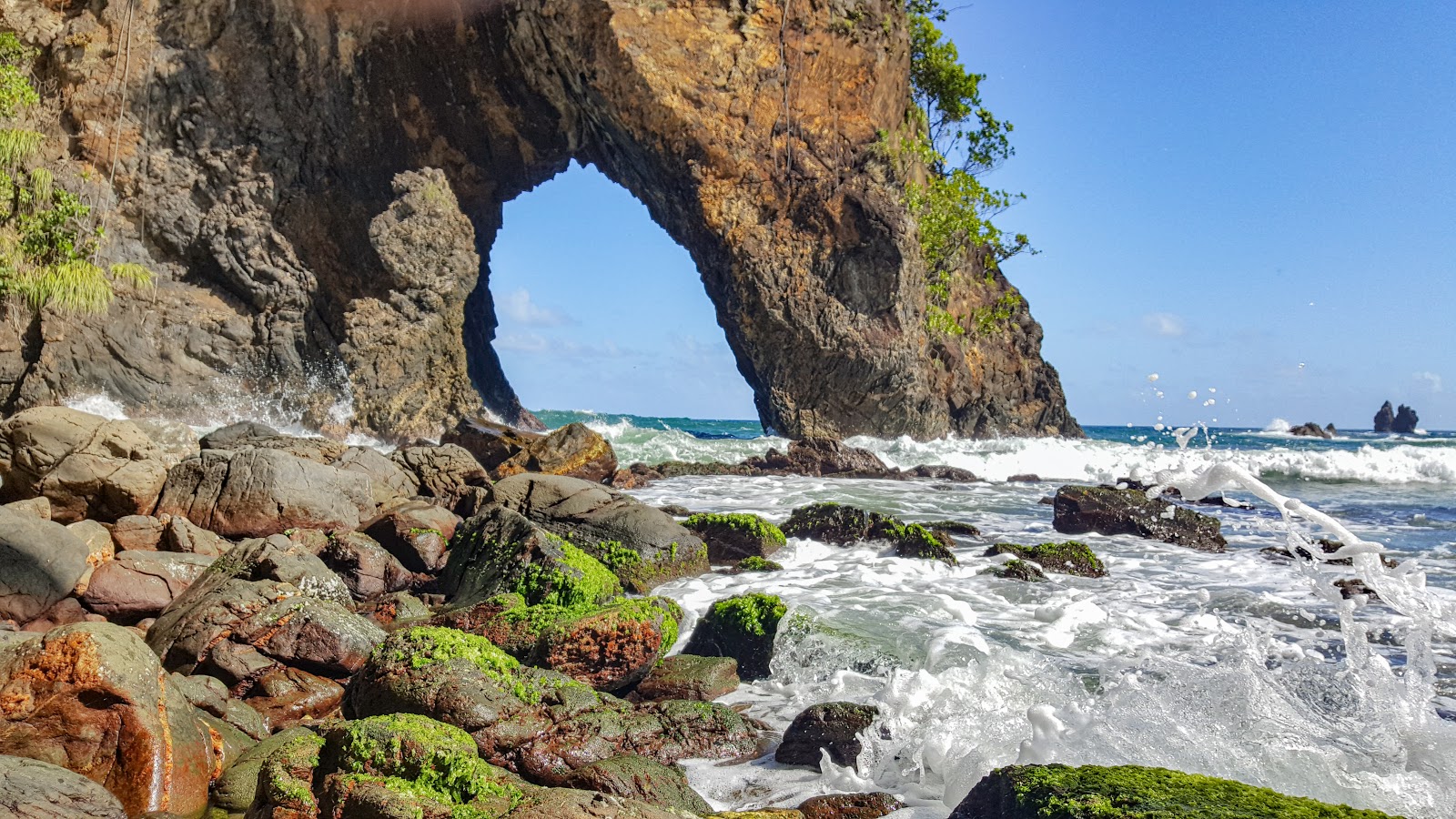Foto de Praia da Baía de Paria localizado em área natural