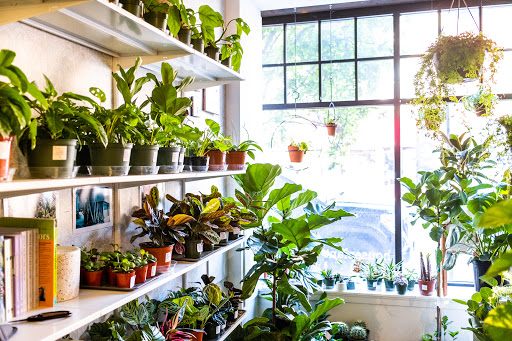 Florist «Pollen», reviews and photos, 2918 N Milwaukee Ave, Chicago, IL 60618, USA