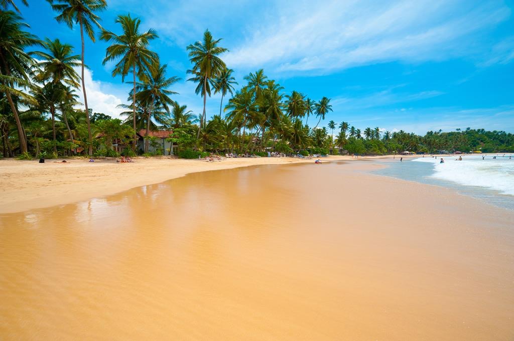 Browns Beach'in fotoğrafı imkanlar alanı