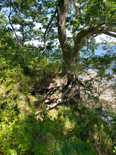 Nature Preserve «Littlejohn Island Preserve», reviews and photos, Pemasong Ln, Yarmouth, ME 04096, USA