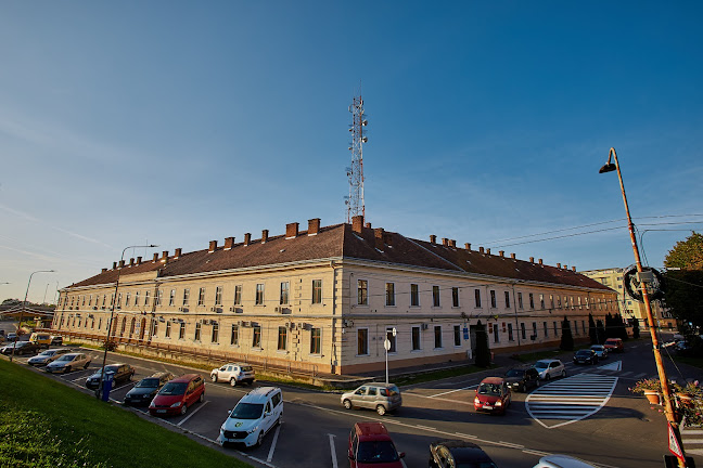 Poliția Locală Satu Mare