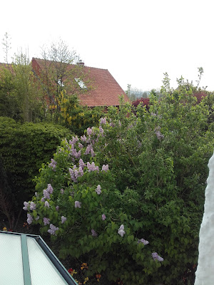Clipet Gilles à Bois en Ardres