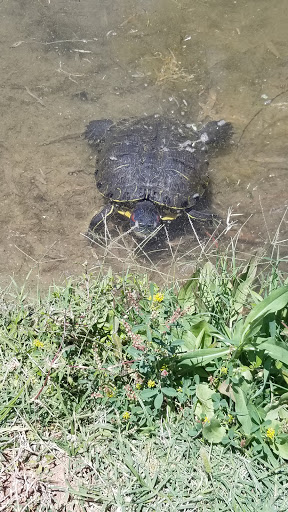 Golf Club «Toka Sticks Golf Club», reviews and photos, 6910 E Williams Field Rd, Mesa, AZ 85212, USA