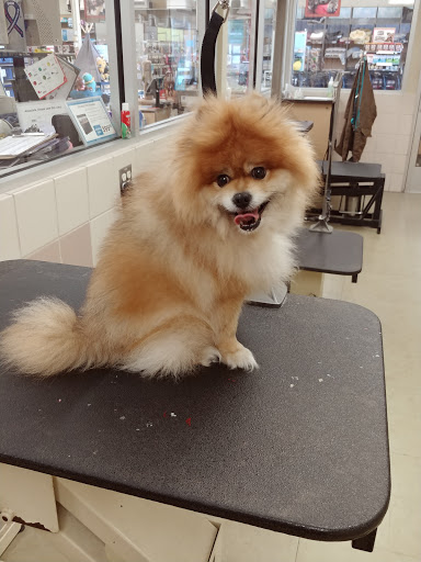 Pet Supply Store «Petco Animal Supplies», reviews and photos, 2561 E Hwy 50, Clermont, FL 34711, USA