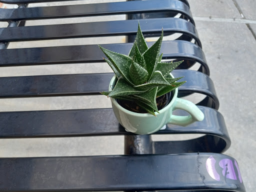 Beer Store «Hunt Valley Wine, Liquor & Beer», reviews and photos, 116 A Shawan Rd, Hunt Valley, MD 21030, USA