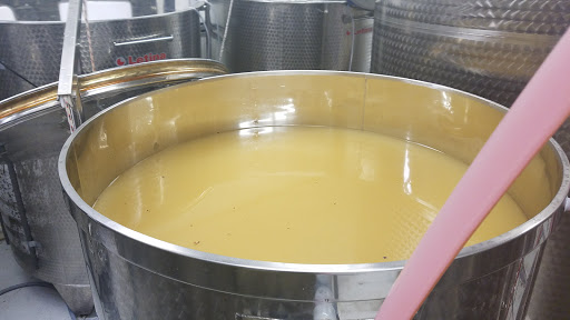 Vineyard «Millner Heritage Vineyard & Winery», reviews and photos, 32025 MN-15, Kimball, MN 55353, USA