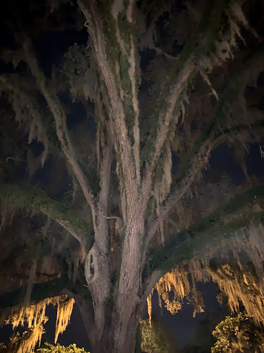 Club «University Club of Winter Park», reviews and photos, 841 N Park Ave, Winter Park, FL 32789, USA