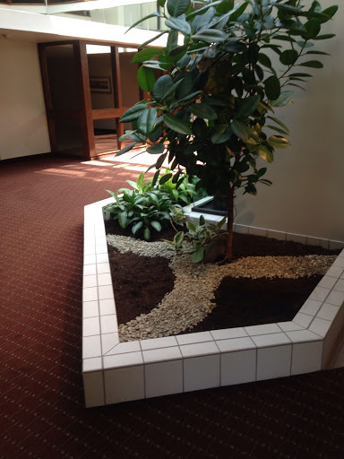 Florist «House of Plants Florist Inc», reviews and photos, 1670 Merriman Rd, Akron, OH 44313, USA