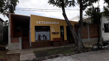 Piedra Alta veterinari