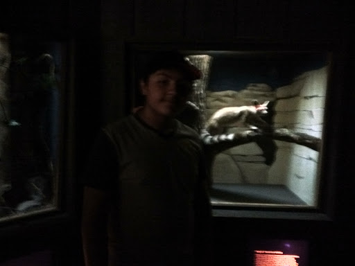 Museum «Texas Memorial Museum», reviews and photos, 2400 Trinity St, Austin, TX 78705, USA