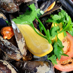 Photo n°2 de l'avis de Larry.r fait le 11/08/2023 à 09:40 sur le  Samoa Seepferdchen à Sylt