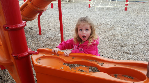 Park «East Snyder Park», reviews and photos, 875 University Ave, Selinsgrove, PA 17870, USA