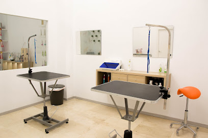 Imagen de Estilismo Canino Alba Paton. Peluqueria canina