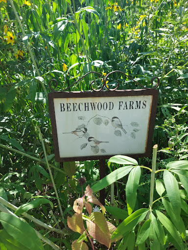 Nature Preserve «Beechwood Farms Nature Reserve», reviews and photos, 614 Dorseyville Rd, Pittsburgh, PA 15238, USA