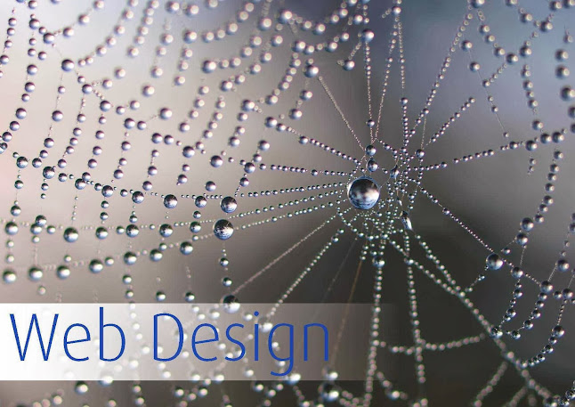 Business Print & Design - Website designer