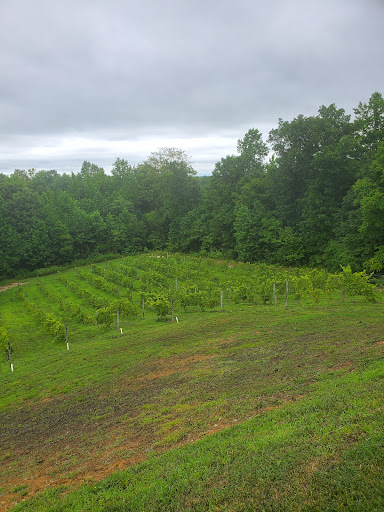 Winery «Saudé Creek Vineyards», reviews and photos, 16230 Cooks Mill Rd, Lanexa, VA 23089, USA