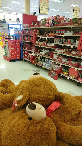 Grocery Store «Winn-Dixie», reviews and photos, 14134 US-19 #710, Hudson, FL 34667, USA