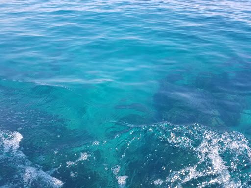 Gift Shop «Two Harbors General Store», reviews and photos, 1 Banning House Rd, Avalon, CA 90704, USA