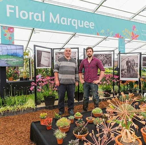 Hoyland Plant Centre