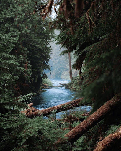 Travel Agency «Travel and Cruise World», reviews and photos, 71 Lake Link Cir SE, Winter Haven, FL 33884, USA