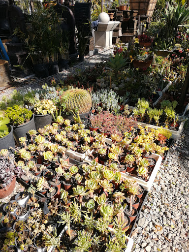 Centro Jardinero de Tijuana