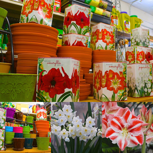 Building Materials Store «Roe Brothers Inc», reviews and photos, 65 Maple Ave, Florida, NY 10921, USA